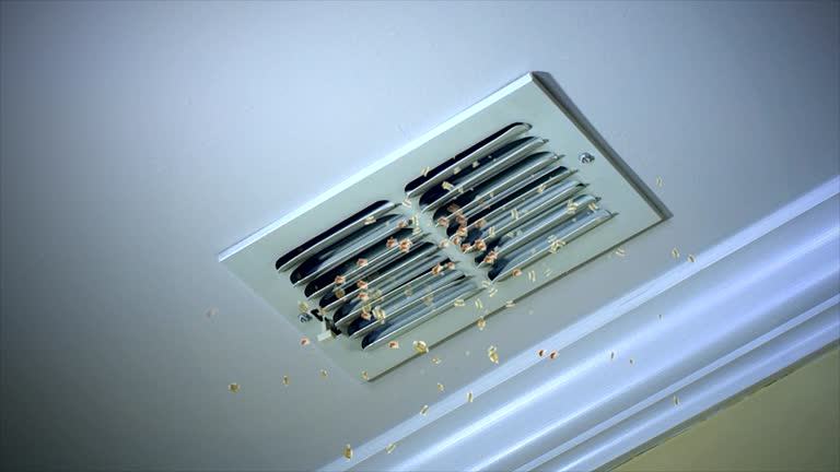 Best Commercial Air Duct Cleaning  in Clark, SD