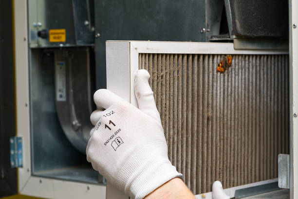 Best Professional Duct Cleaning Services  in Clark, SD
